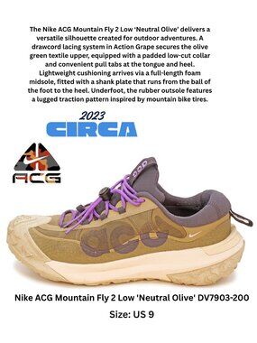 Nike ACG Mountain Fly 2 Low 'Neutral Olive' DV7903-200